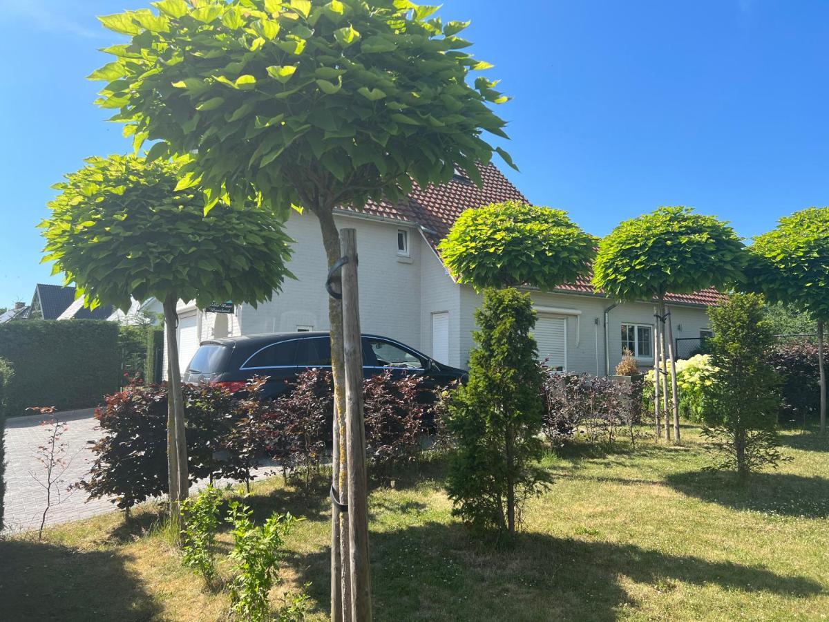 Villa Mooi Maasland Maaseik Exteriér fotografie