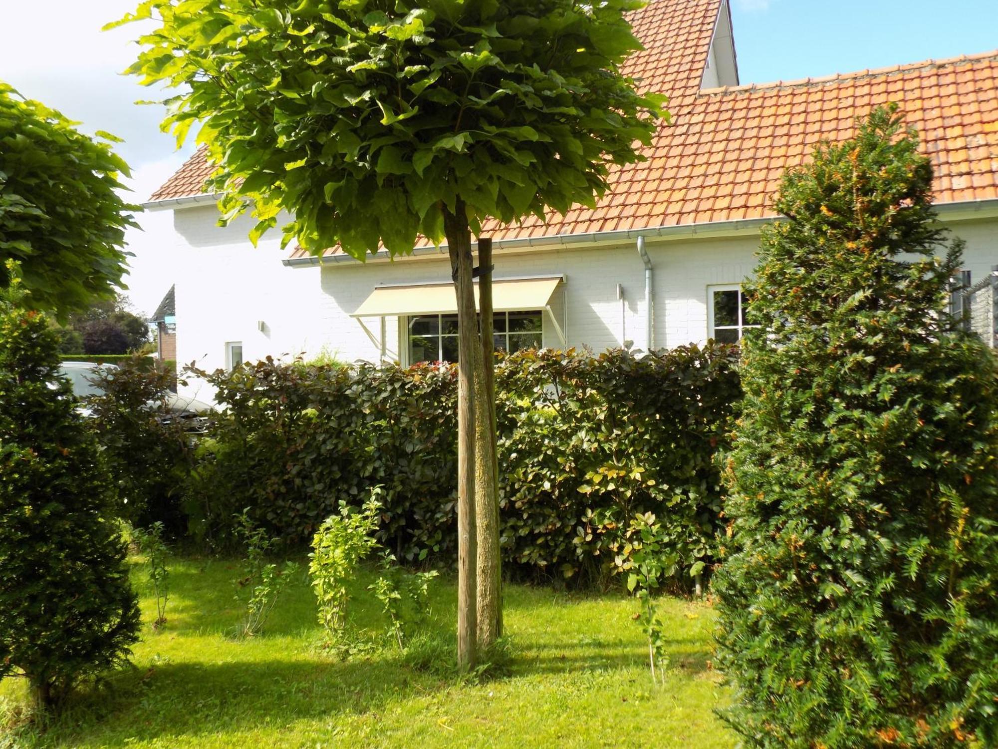 Villa Mooi Maasland Maaseik Exteriér fotografie